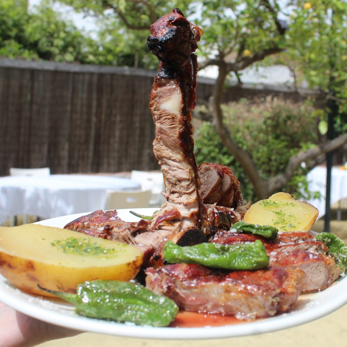 Fumata Negra Asador Argentino Photos 2